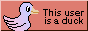 wowperfect.png
