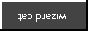 wizcat.gif