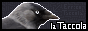 n-lc.png