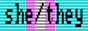 pronoun-cga-she-they-trans.png