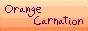 orangecarnation.gif