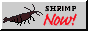 bigchocolatef.png
