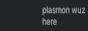 plasmon.gif