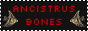 ancistrus-btn-angel.gif