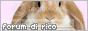 archived 88x31 button #79840