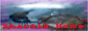 archived 88x31 button #79878