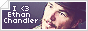 archived 88x31 button #79891