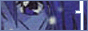 7.gif