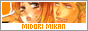 archived 88x31 button #80114