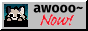 awoo-now.png