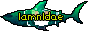 lamnidae.gif