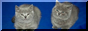 2ofthem.png