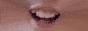 jamesland_3.gif