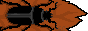 beetlebutton.png