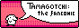 tfcwebbutt.gif