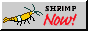 bigyellowrilim.png