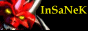 miniweb.gif
