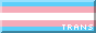 trans.png
