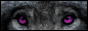 archived 88x31 button #80447