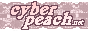 cyberpeach.png