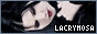 fl476.jpg