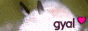 missjoints.gif