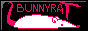 banner.gif
