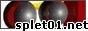 splet01_banner.jpg