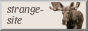 strangesite_3.gif