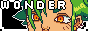 wonderbutton2.png