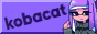kobacat.png