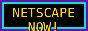 netscape-now.png