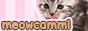 meowcammi.gif