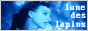 lunedeslapins_2.png