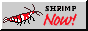 bigharlequinf.png