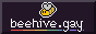 archived 88x31 button #81335