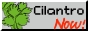 cilantrob.jpg