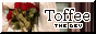 tof.png