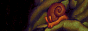 xzy_button19.gif
