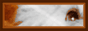 archived 88x31 button #81537