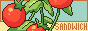 4SbsMZt.gif