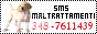 archived 88x31 button #81646