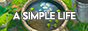 archived 88x31 button #16808