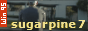 sugarpine7.png