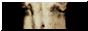 liftyedit.png