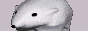 baero-button.gif
