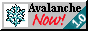 avanow1.gif