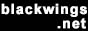 blackwingsnet.jpg