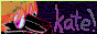 kate-pet.gif