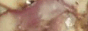 rkrr8yR.gif
